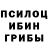 Псилоцибиновые грибы ЛСД Andrew Curtin