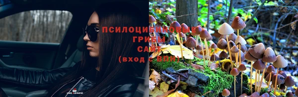 соль ск Гусь-Хрустальный