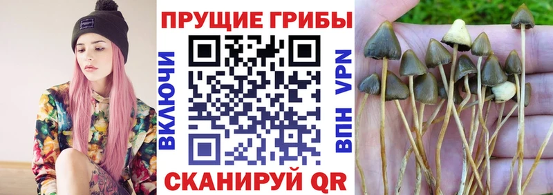 Псилоцибиновые грибы мухоморы  сколько стоит  Щучье 